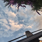 Photo n°10 de l'avis de Roberto.i fait le 30/07/2022 à 20:20 sur le  HOSTARIA AL BUONGUSTO à Limone sul Garda