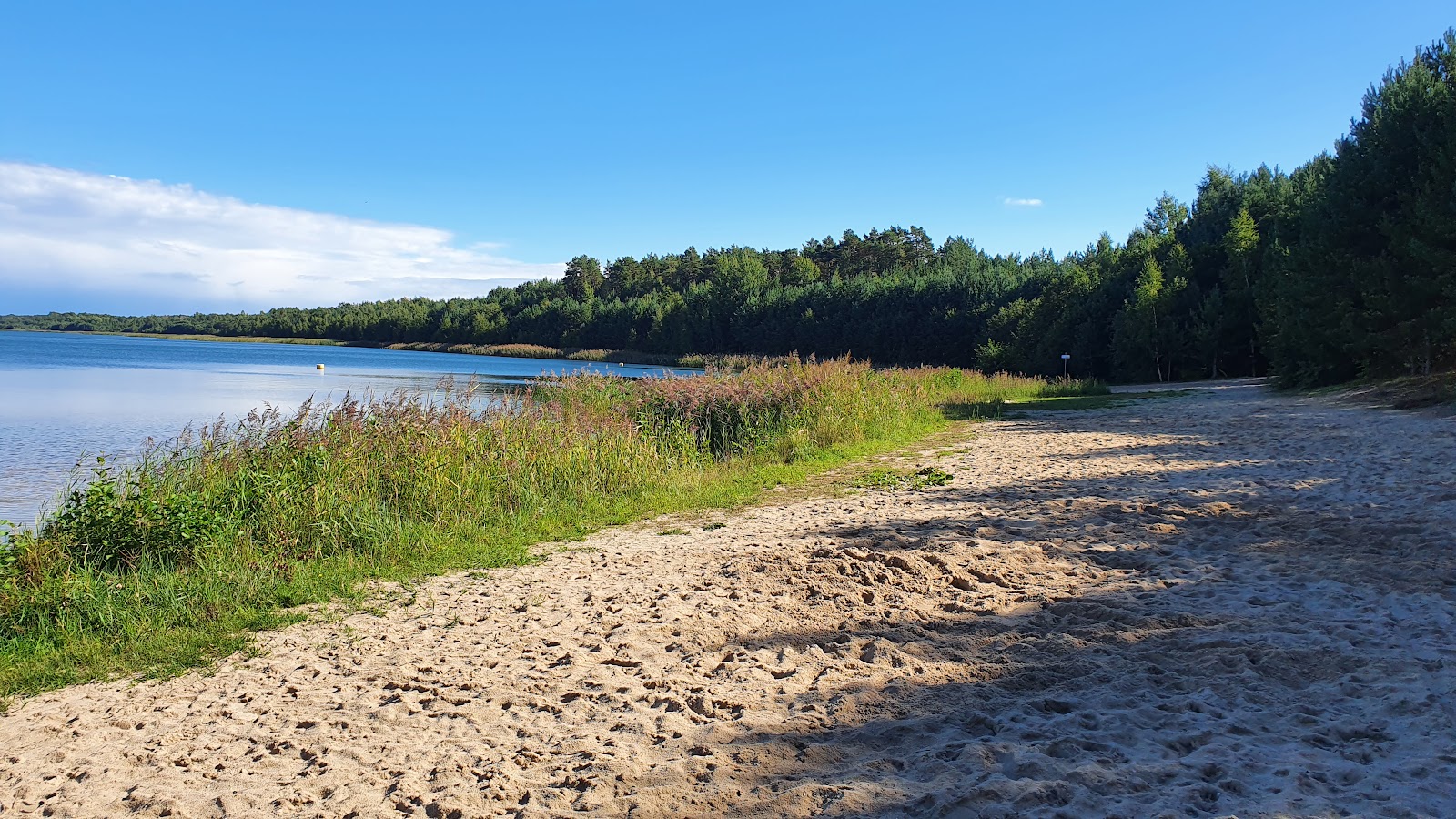 Φωτογραφία του Badestrand Scheibe-See με επίπεδο καθαριότητας πολύ καθαρό