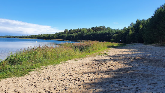 Badestrand Scheibe-See