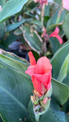 Home Improvement Store «The Home Depot», reviews and photos, 32525 Northwestern Hwy, Farmington Hills, MI 48334, USA