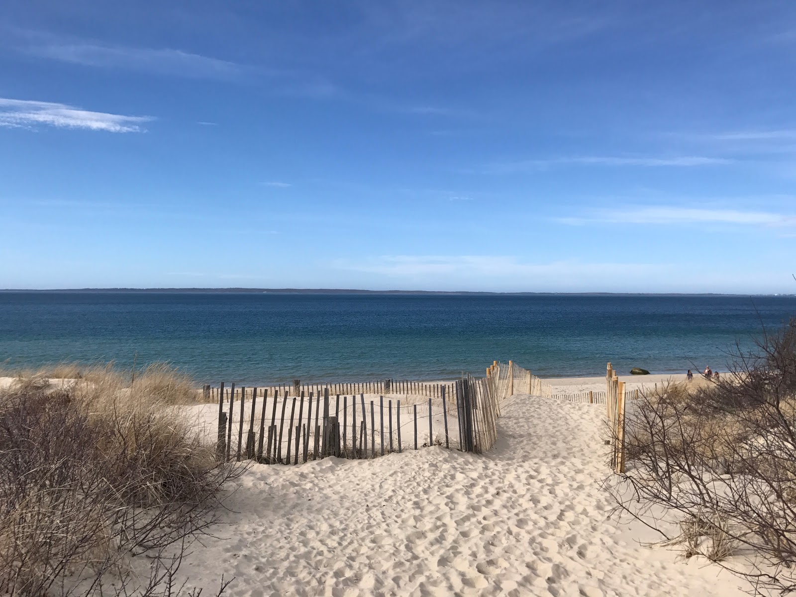 Lambert's Cove Beach'in fotoğrafı ve güzel manzarası