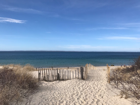 Lambert's Cove Beach