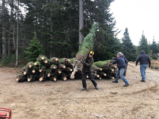 Garden Center «Dees Nursery & Florist», reviews and photos, 69 Atlantic Ave, Oceanside, NY 11572, USA