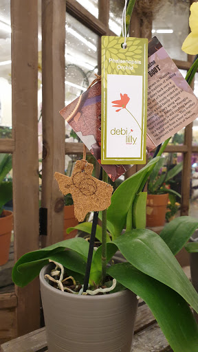 Grocery Store «Albertsons», reviews and photos, 2321 W University Dr, Denton, TX 76201, USA