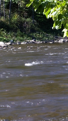 Campground «Herkimer Diamond KOA Resort», reviews and photos, 4626 NY-28, Herkimer, NY 13350, USA