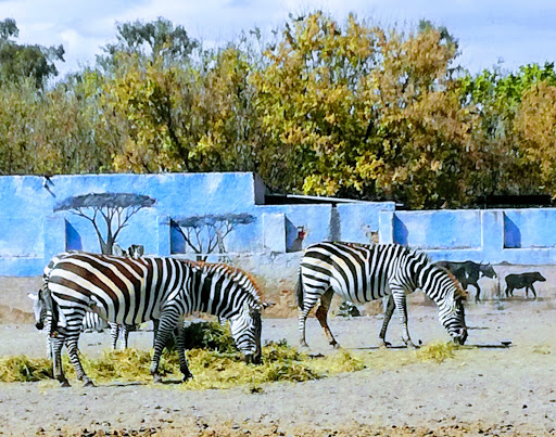 Parque Zoológico de Querétaro Wameru