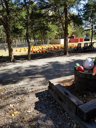 Tourist Attraction «Lucky Ladd Farms», reviews and photos, 4374 Rocky Glade Rd, Eagleville, TN 37060, USA