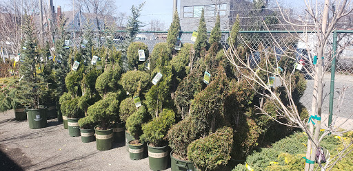 Garden Center «Westminster Nursery & Florist», reviews and photos, 30 Westminster Rd, West Hempstead, NY 11552, USA