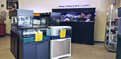 Aquarium Shop «Wet Pets by Steve», reviews and photos, 504 W Main St, Norman, OK 73069, USA