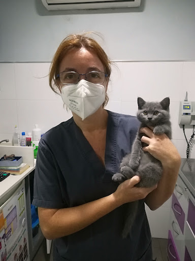 Varela Clínica Veterinaria en Cádiz