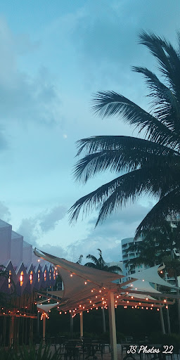 Performing Arts Theater «Van Wezel Performing Arts Hall», reviews and photos, 777 N Tamiami Trail, Sarasota, FL 34236, USA