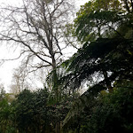 Photo n°6 de l'avis de Juan.a fait le 26/03/2022 à 19:57 sur le  Solar Do Conde à Capelas