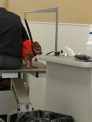 Pet Supply Store «Petco Animal Supplies», reviews and photos, 6020 Crawfordsville Rd, Speedway, IN 46224, USA