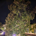 Photo n°9 de l'avis de casa.e fait le 09/10/2022 à 22:16 sur le  Certosa di Pontignano à Pontignano