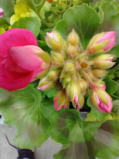 Home Improvement Store «The Home Depot», reviews and photos, 18700 Meyers Rd, Detroit, MI 48235, USA