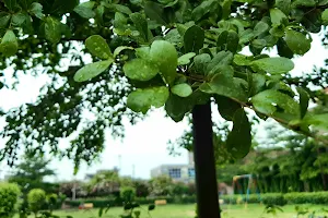 Habib Pura community Park image