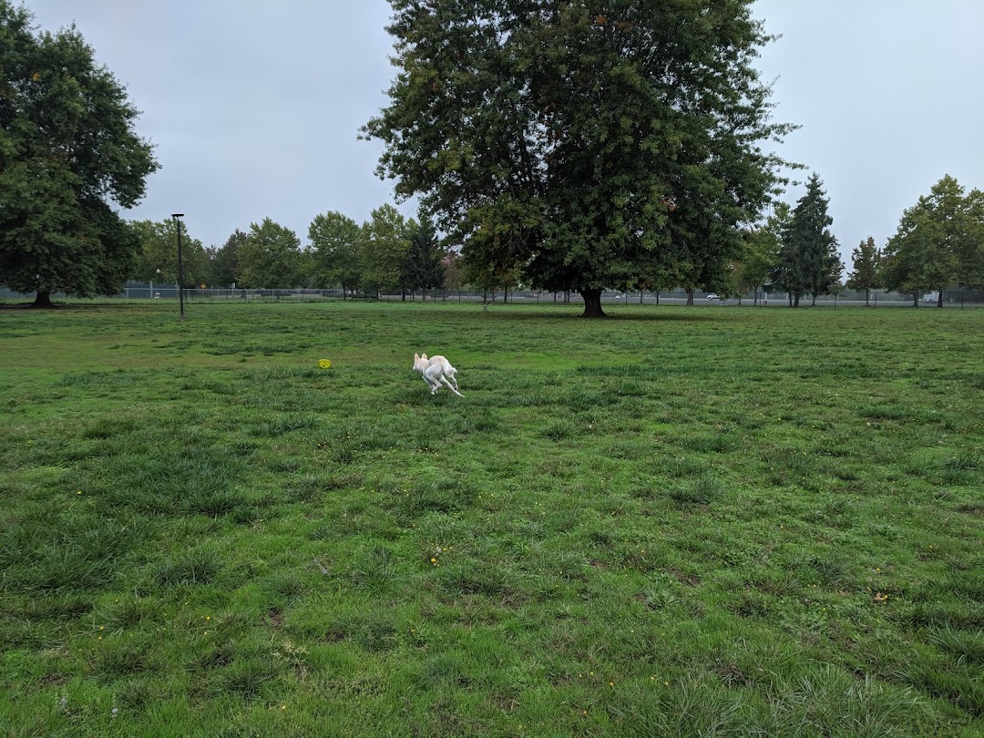 Albany Dog Park at Timber Linn Park