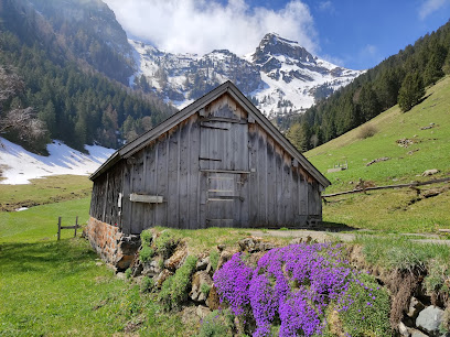 Alphütte Valspuus