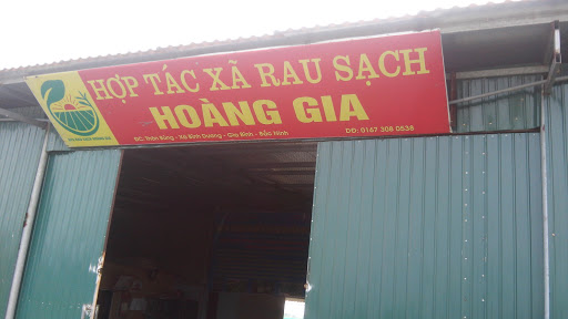 Htx nông nghiệp rau sạch Hoàng Gia