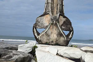 Whale skull point image