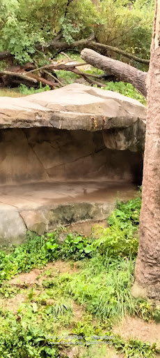 Water Park «Zoombezi Bay», reviews and photos, 10101 Riverside Dr, Powell, OH 43065, USA