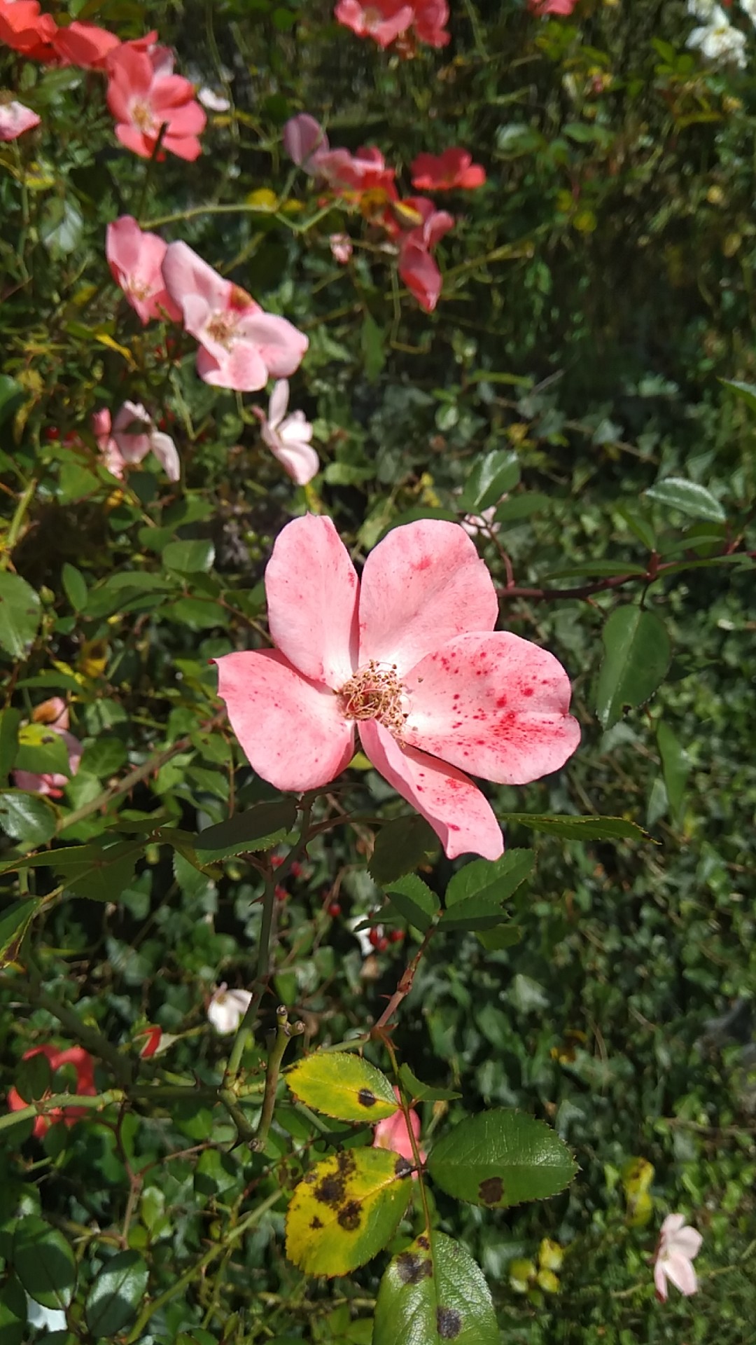 Photo n° 3 de l'avis de Émeline. fait le 22/09/2019 à 17:56