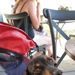 Photo n°2 de l'avis de Antje.i fait le 06/07/2021 à 07:13 sur le  Lütte Meierie à Kratzeburg