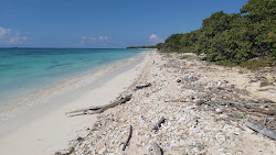 Pedernales beach'in fotoğrafı geniş ile birlikte