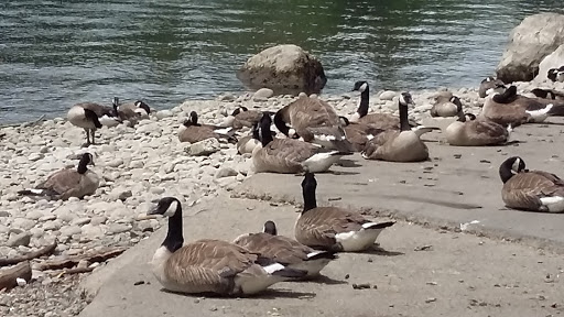 Park «Meldrum Bar Park», reviews and photos, 19 Meldrum Bar Park Rd, Gladstone, OR 97027, USA