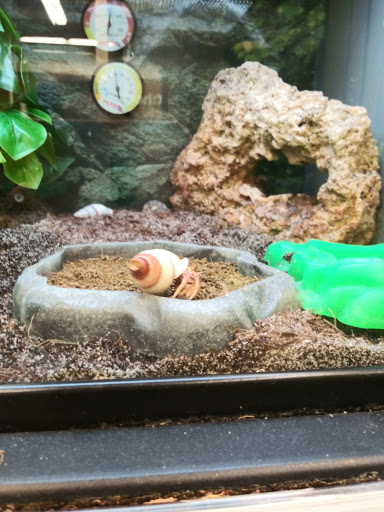 Pet Supply Store «Petco Animal Supplies», reviews and photos, 2565 NE 10th Ct, Homestead, FL 33035, USA