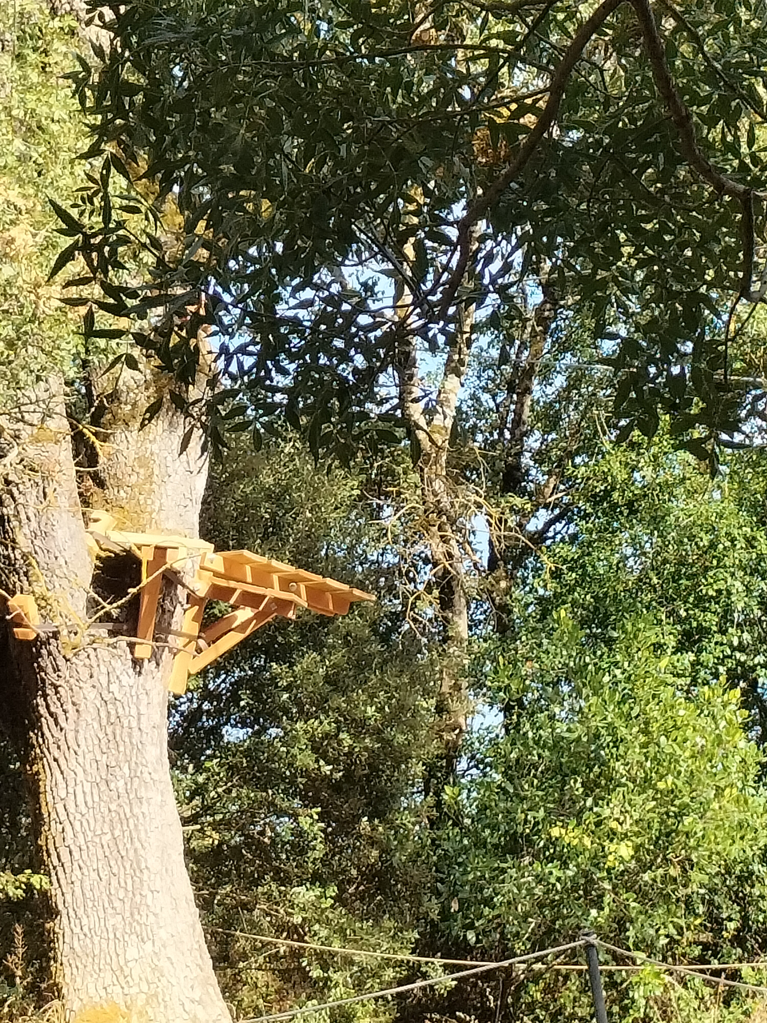 Photo n° 1 de l'avis de FREDERIC.A fait le 09/08/2022 à 15:40