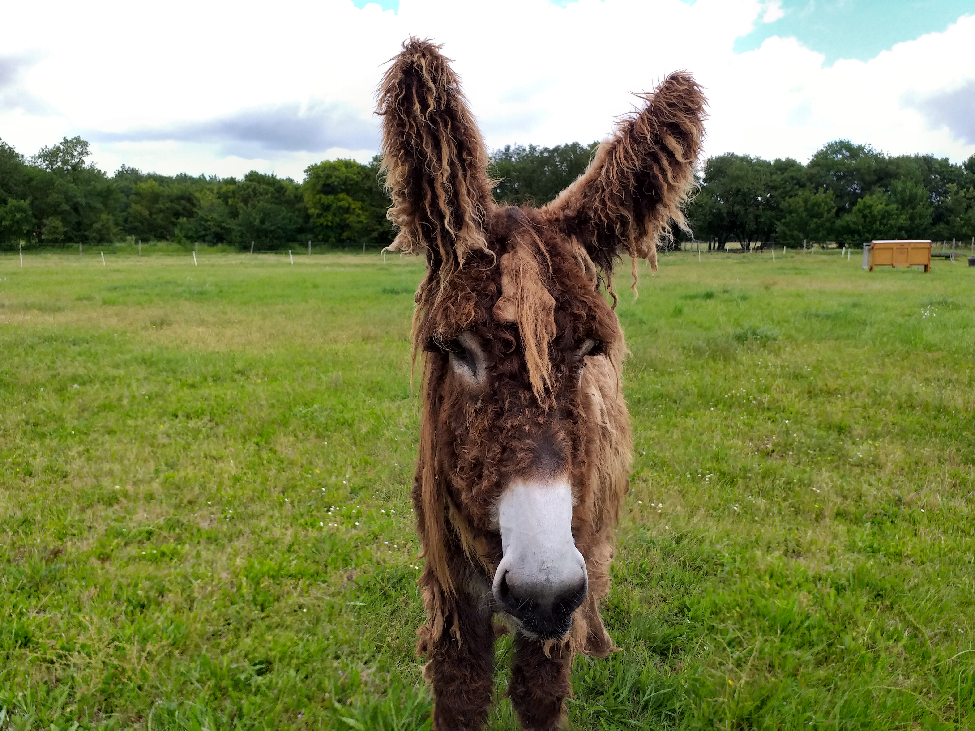 Photo n° 1 de l'avis de Cécile.o fait le 15/06/2019 à 11:54