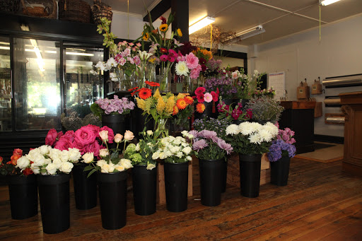 Florist «Fleur De Lis», reviews and photos, 460 Ocean St, South Portland, ME 04106, USA