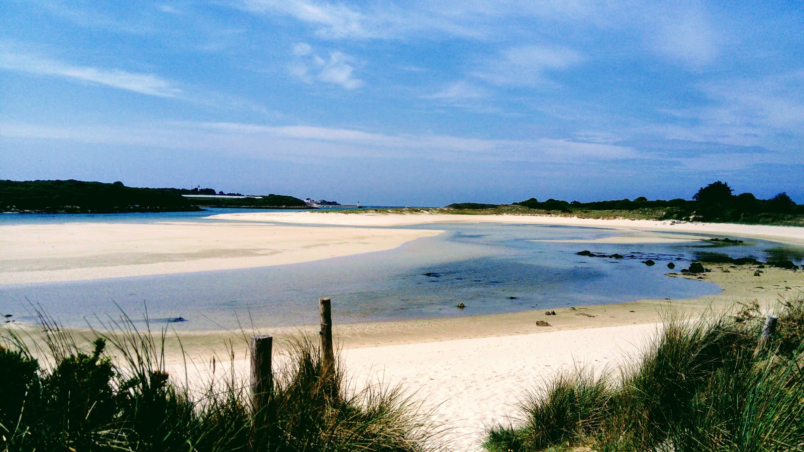 Plage du Guillec'in fotoğrafı - rahatlamayı sevenler arasında popüler bir yer