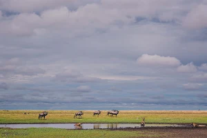 Liuwa Plain National Park image