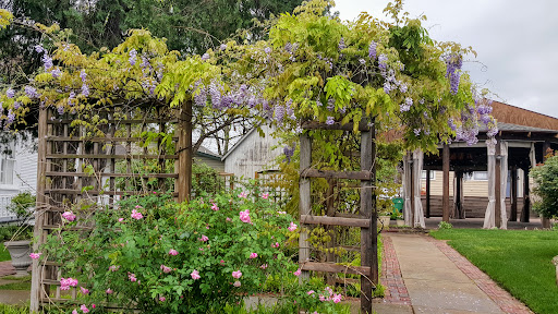 Tourist Attraction «Chestnut Square Historic Village», reviews and photos, 315 S Chestnut St, McKinney, TX 75069, USA