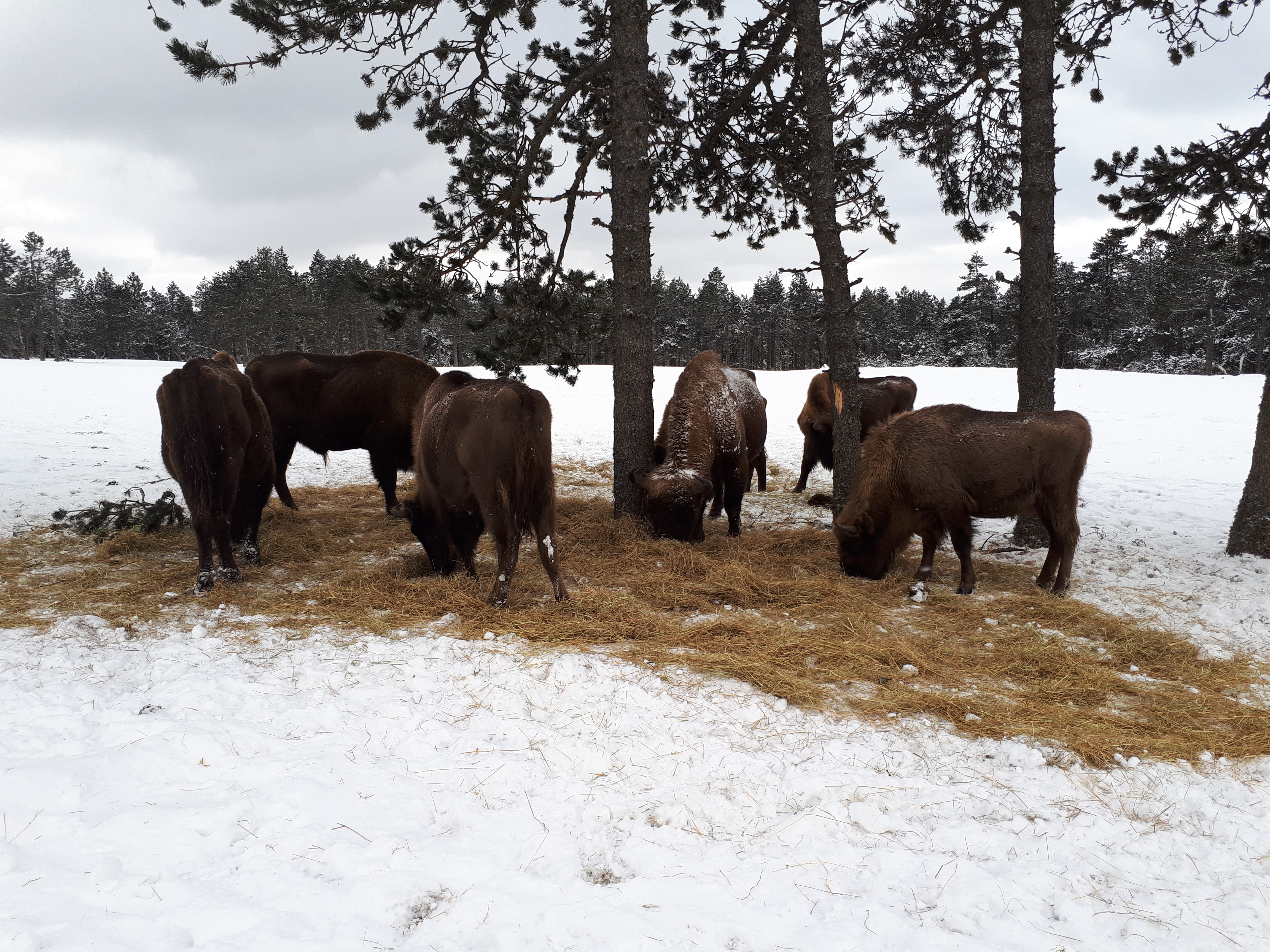 Photo n° 7 de l'avis de Romain.o fait le 26/02/2018 à 13:20