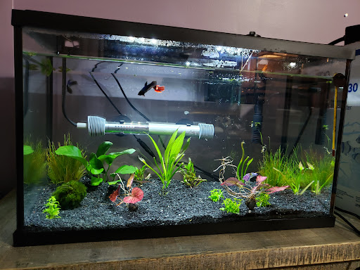 Pet Store «Exotic Fish», reviews and photos, 406 Northside Dr # F, Valdosta, GA 31602, USA
