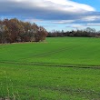 Blackwell Grange Golf Club Ltd.