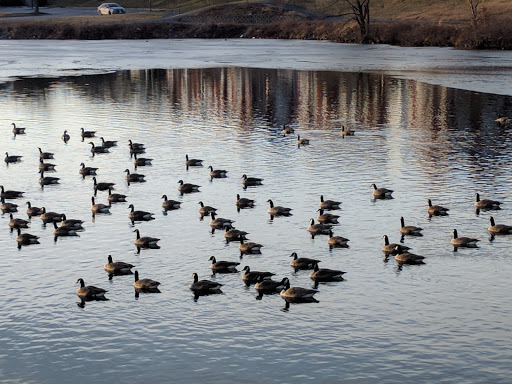 Park «Grandville Gude Park», reviews and photos, 8300 Mulberry St, Laurel, MD 20707, USA