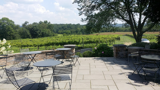 Winery «Old York Cellars», reviews and photos, 80 Old York Rd, Ringoes, NJ 08551, USA