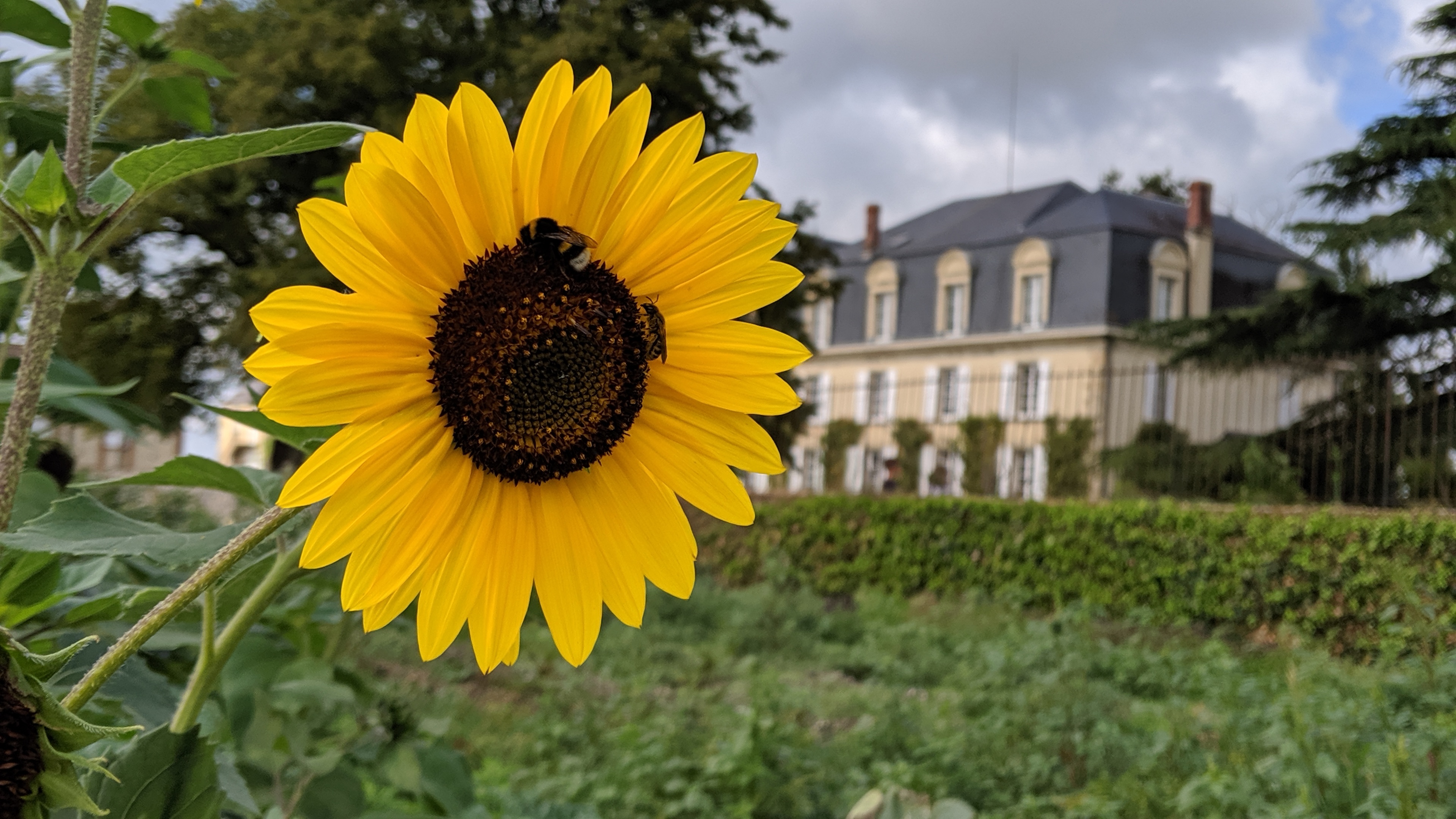 Photo n° 2 de l'avis de Hugo.i fait le 11/08/2019 à 18:18