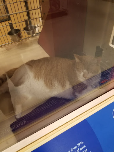 Pet Supply Store «PetSmart», reviews and photos, 4013 Wisconsin 28, Kohler, WI 53081, USA