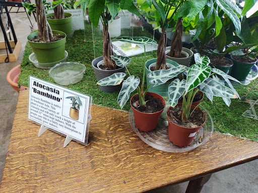 Gift Shop «Blue Hills Nursery & Gift Shop», reviews and photos, 16440 Whittier Blvd, Whittier, CA 90603, USA