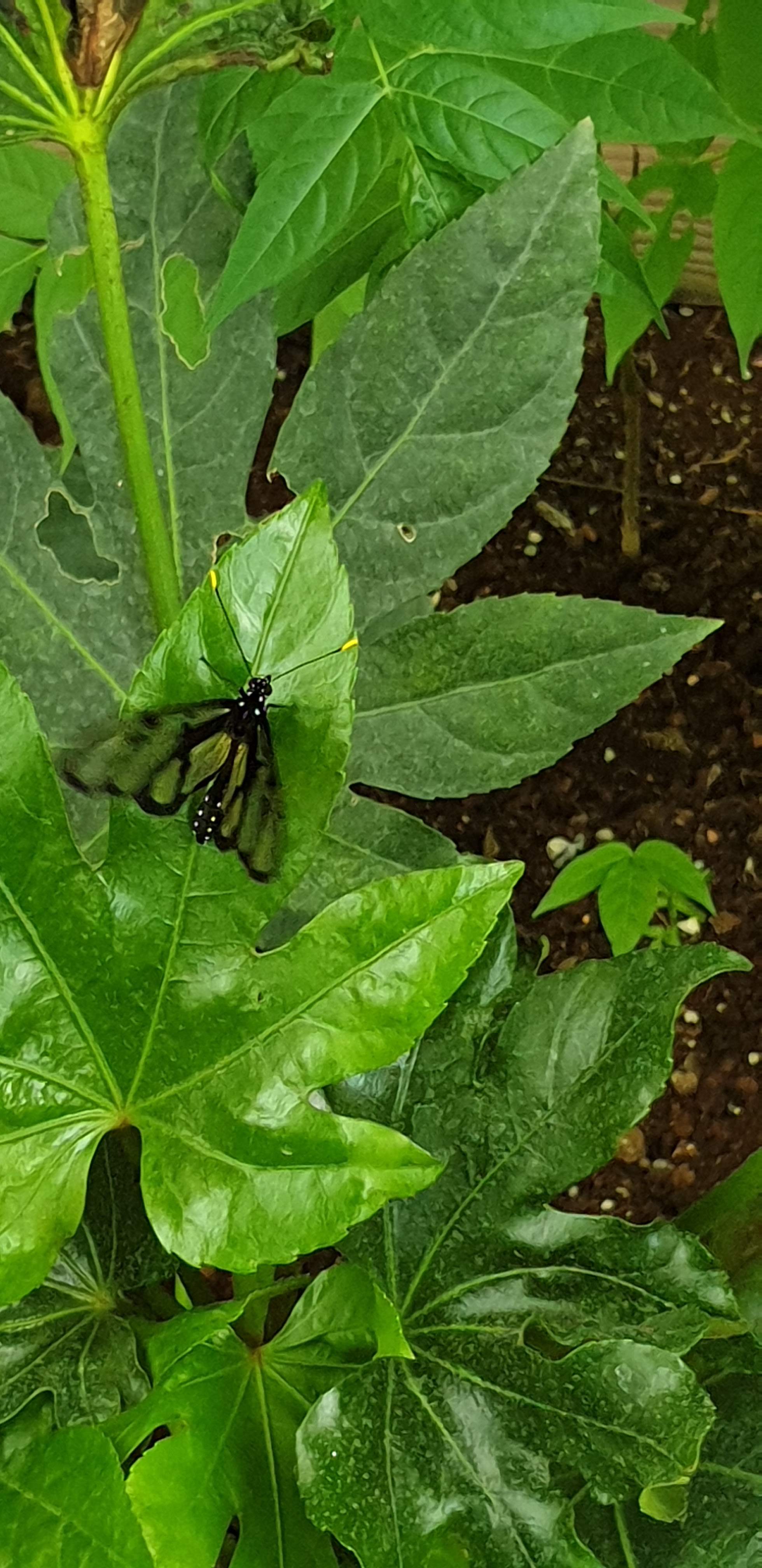 Photo n° 15 de l'avis de Severine.o fait le 30/07/2019 à 11:31