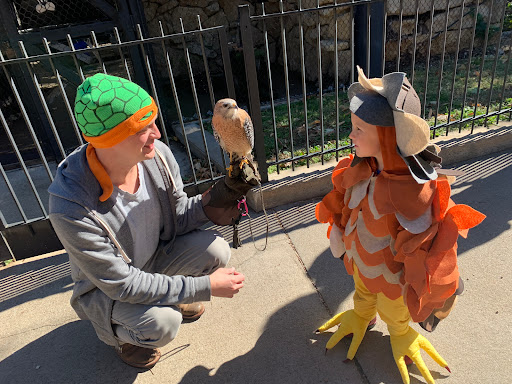 Zoo «Kansas Wildlife Exhibit», reviews and photos, 600-630 Nims N, Wichita, KS 67203, USA