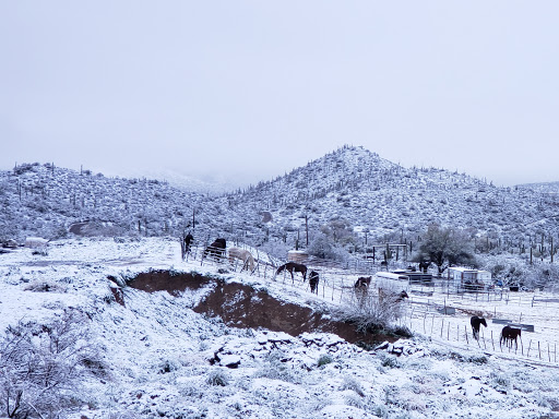 Horseback Riding Service «Spur Cross Stables», reviews and photos, 44029 N Spur Cross Rd, Cave Creek, AZ 85331, USA