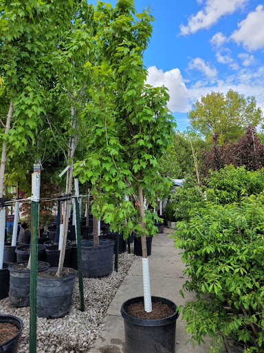 Garden Center «Earl May Nursery & Garden Center», reviews and photos, 2306 1st Ave E, Newton, IA 50208, USA