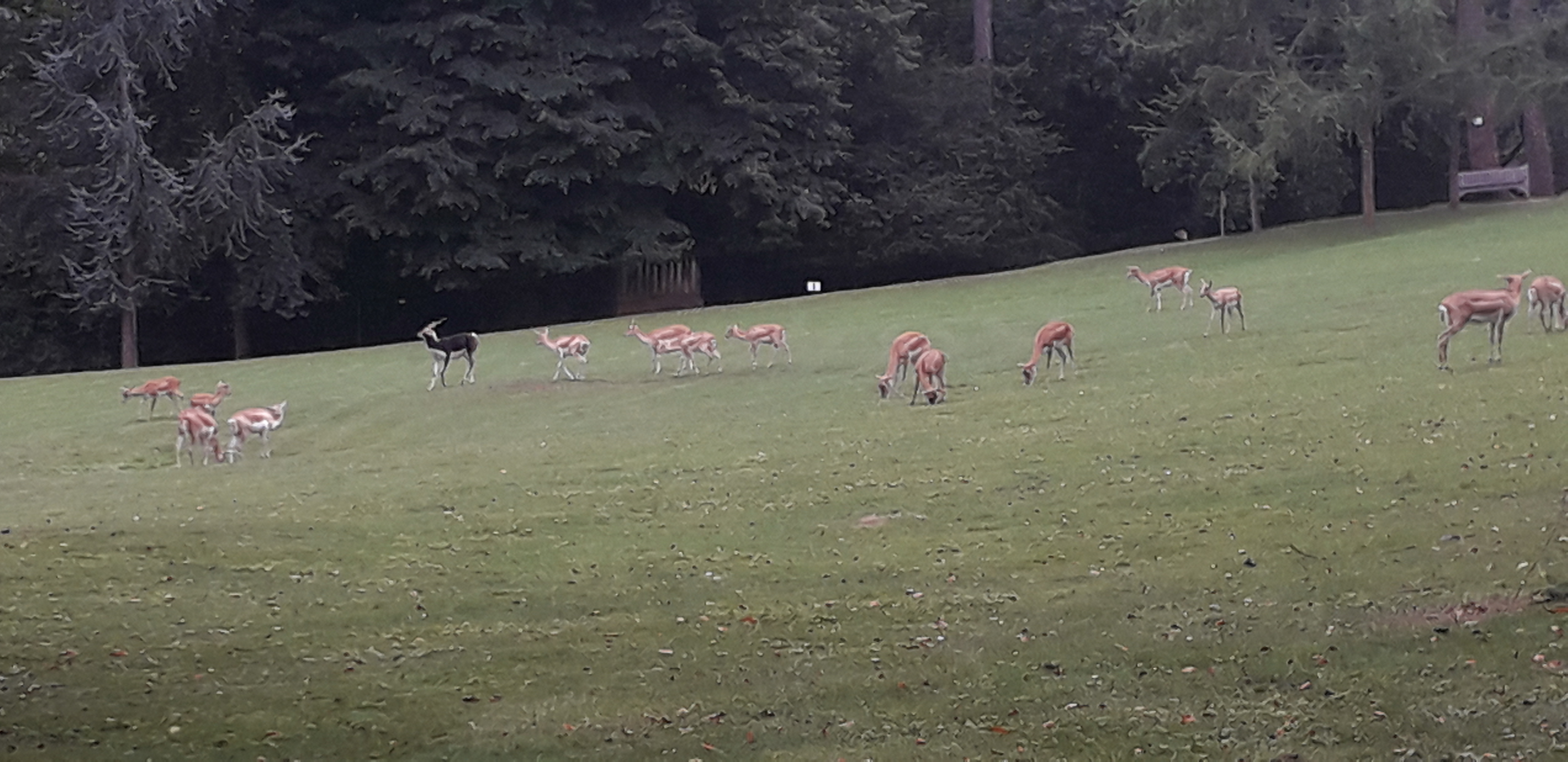 Photo n° 43 de l'avis de lilou.i fait le 19/09/2020 à 16:48