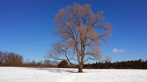 Nature Preserve «Al Sabo Land Preserve», reviews and photos, 6310 Texas Dr, Kalamazoo, MI 49009, USA